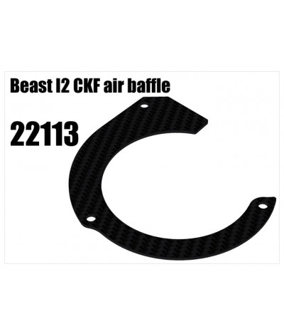 RS5 Modelsport Part Number: 22113