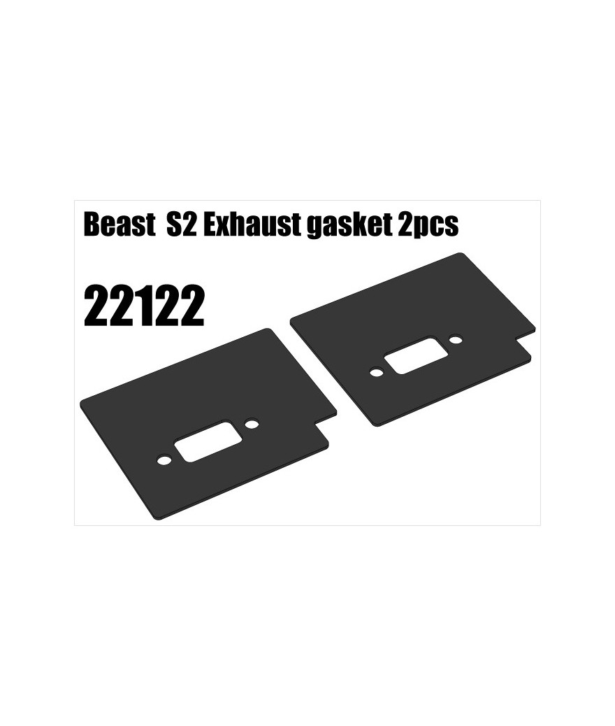 RS5 Modelsport Part Number: 22122