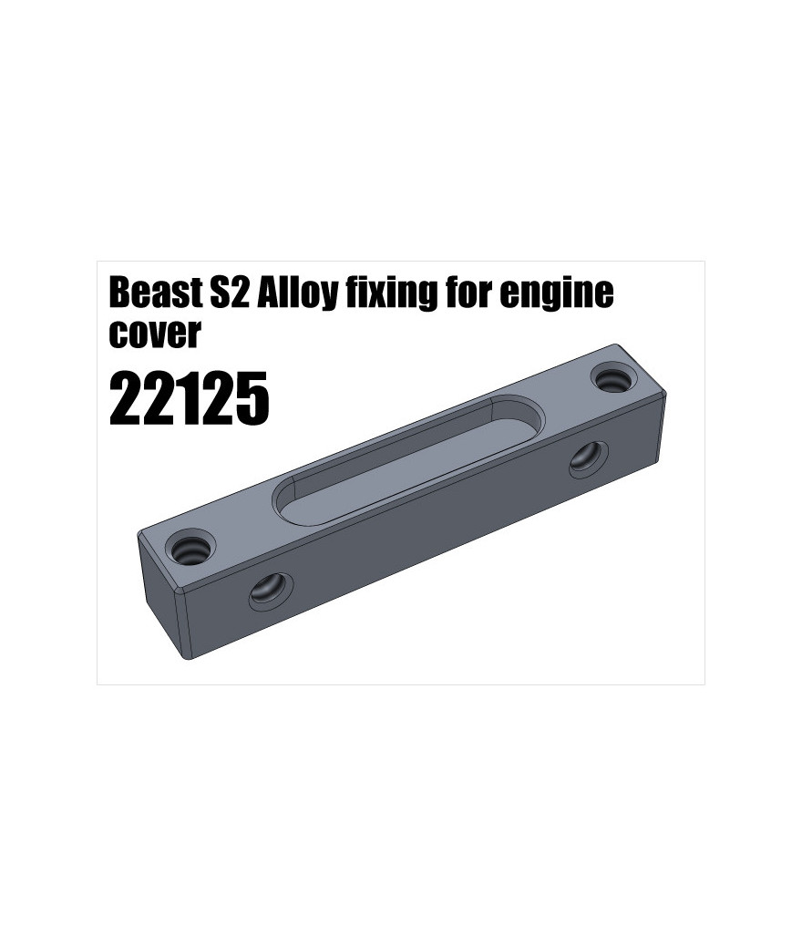 RS5 Modelsport Part Number: 22125