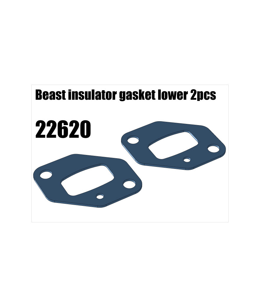 RS5 Modelsport Part Number: 22620