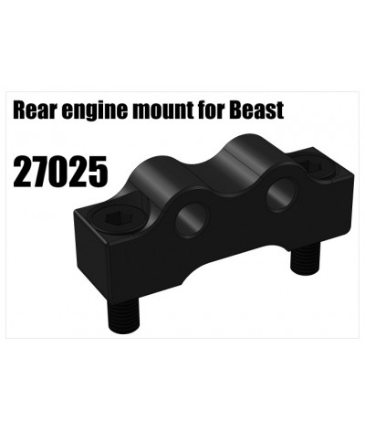 RS5 Modelsport Part Number: 27025