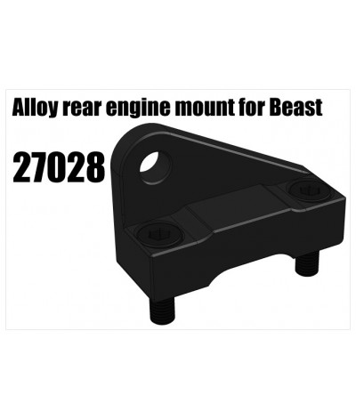 RS5 Modelsport Part Number: 27028