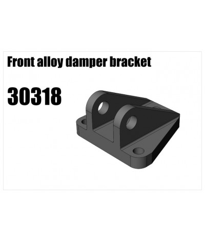 RS5 Modelsport Part Number: 30318