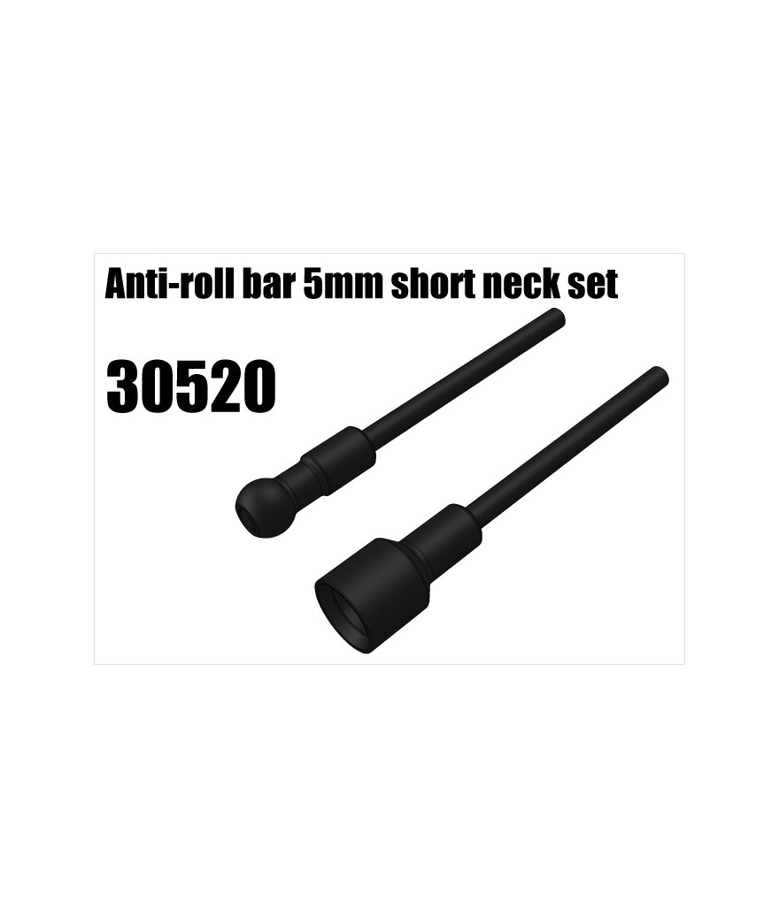 RS5 Modelsport Part Number: 30520