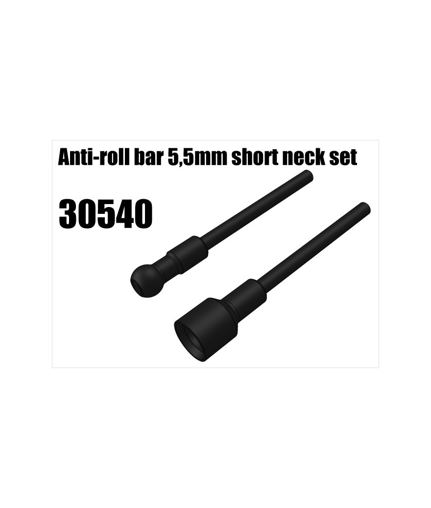 RS5 Modelsport Part Number: 30540