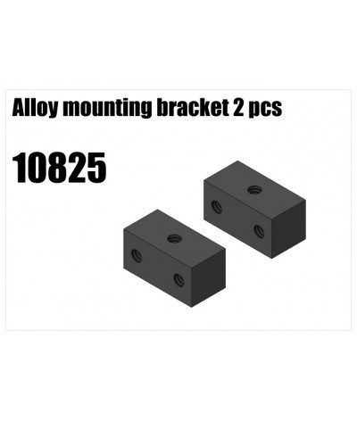 RS5 Modelsport Part Number: 10825