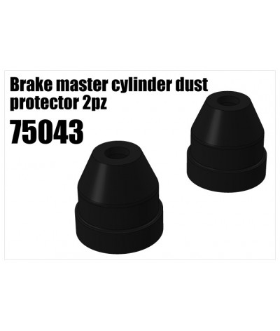 RS5 Modelsport Part Number: 75043